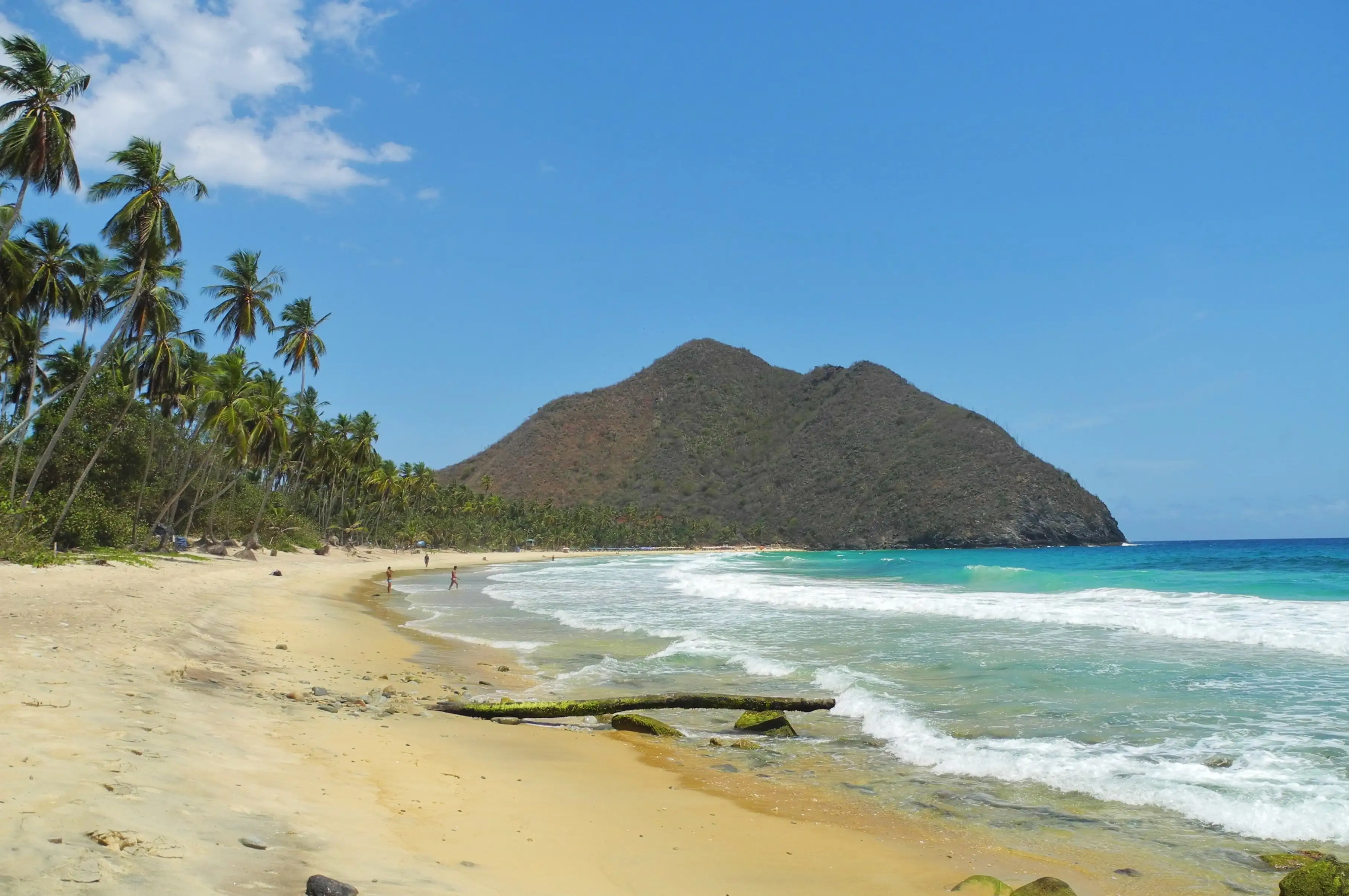 Choroní Playa Grande Aragua Venezuela palmeras y sol